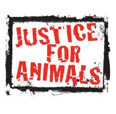 Justice for Animals